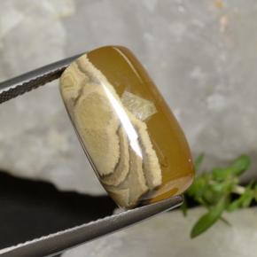18.27캐럿 천연 멀티컬러 아게이트, 멋진 모양, 17.8×10.5 mm, 투명한