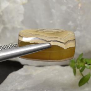 18.27캐럿 천연 멀티컬러 아게이트, 멋진 모양, 17.8×10.5 mm, 투명한
