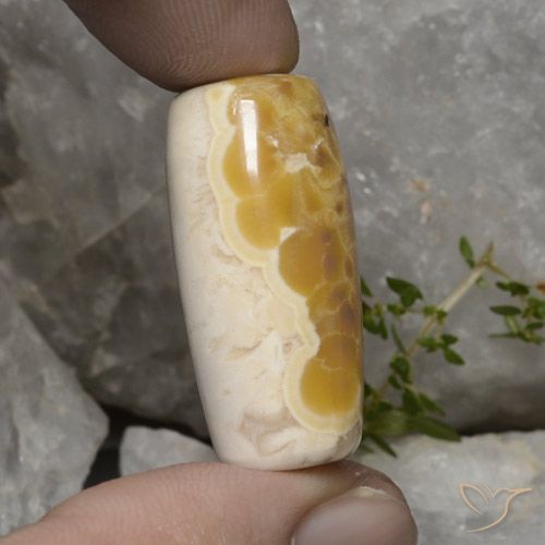 56.94캐럿 천연 멀티컬러 아게이트, 멋진 모양, 불투명체