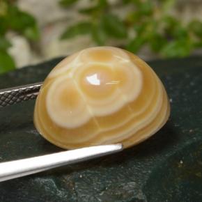 14.86캐럿 천연 다색 마노, 타원형 컷, 불투명체