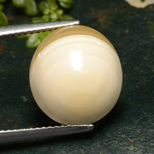 9.46캐럿 천연 멀티컬러 아게이트, 타원형 컷, 14.1×12.7 mm, 투명한