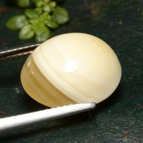 9.46캐럿 천연 멀티컬러 아게이트, 타원형 컷, 14.1×12.7 mm, 투명한