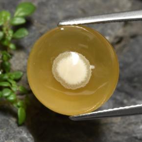 11.93캐럿 천연 멀티컬러 아게이트, 타원형 컷, 14.2×14 mm, 투명한