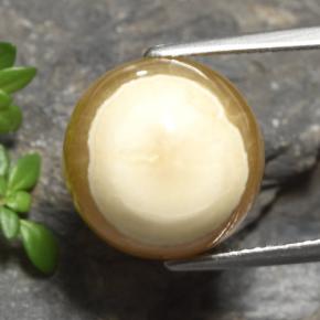 15.16캐럿 천연 멀티컬러 아게이트, 타원형 컷, 13.9×13.6 mm, 투명한