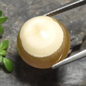 15.16캐럿 천연 멀티컬러 아게이트, 타원형 컷, 13.9×13.6 mm, 투명한