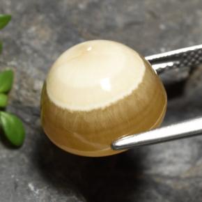 15.16캐럿 천연 멀티컬러 아게이트, 타원형 컷, 13.9×13.6 mm, 투명한