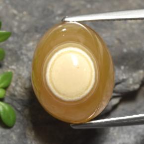 18.18캐럿 천연 멀티컬러 아게이트, 타원형 컷, 15.4×12.6 mm, 투명한