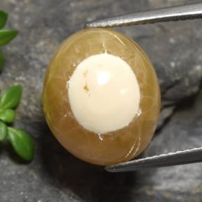 13.60캐럿 천연 다색 마노, 타원형 컷, 투명한