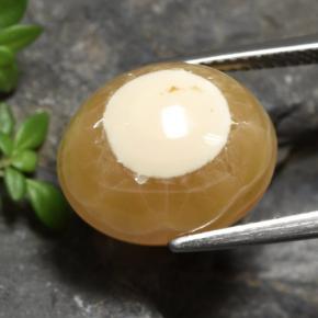 13.60캐럿 천연 다색 마노, 타원형 컷, 투명한