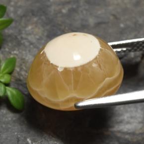 13.60캐럿 천연 다색 마노, 타원형 컷, 투명한