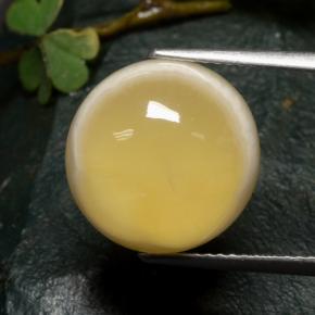 10.73캐럿 천연 멀티컬러 아게이트, 라운드 컷, 13.75 mm, 투명한