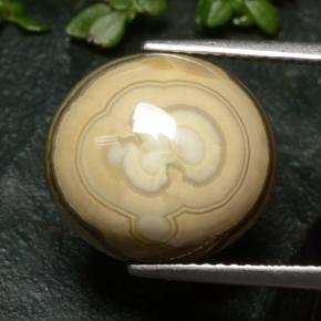 12.04캐럿 천연 다색 마노, 타원형 컷, 불투명체