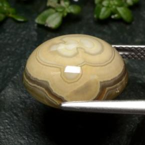 12.04캐럿 천연 다색 마노, 타원형 컷, 불투명체