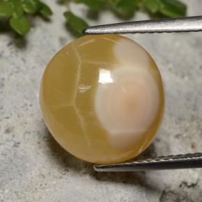 7.59캐럿 천연 멀티컬러 아게이트, 타원형 컷, 12.7×12 mm, 투명한