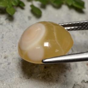 7.59캐럿 천연 멀티컬러 아게이트, 타원형 컷, 12.7×12 mm, 투명한