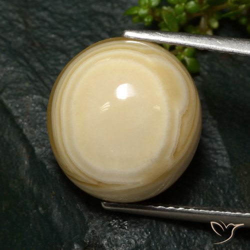 12.37ct 자연스러운 다색 마노, 타원형, 불투명체