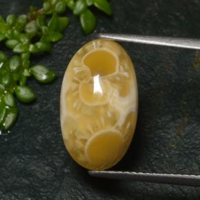 6.57캐럿 천연 멀티컬러 아게이트, 타원형 컷, 15.9×9.6 mm, 투명한