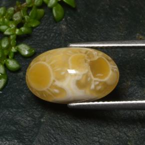 6.57캐럿 천연 멀티컬러 아게이트, 타원형 컷, 15.9×9.6 mm, 투명한