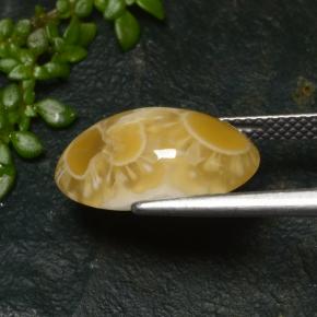 6.57캐럿 천연 멀티컬러 아게이트, 타원형 컷, 15.9×9.6 mm, 투명한