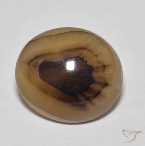 9.50ct 자연스러운 다색 마노, 타원형, 투명한