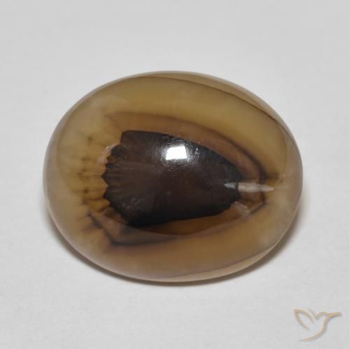 10.67ct 자연스러운 다색 마노, 타원형, 투명한