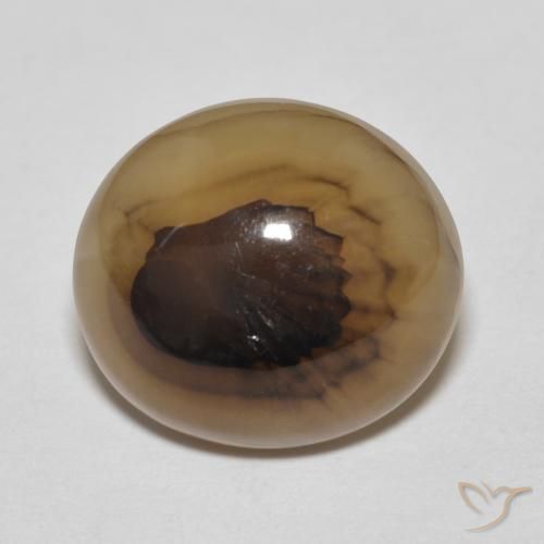9.70ct 자연스러운 다색 마노, 타원형, 투명한