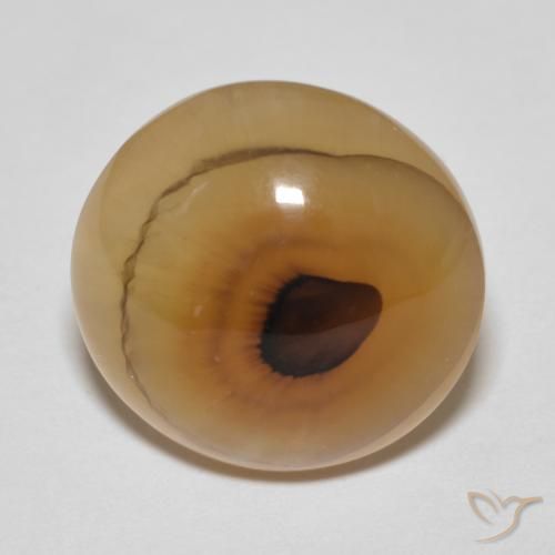 14.89ct 자연스러운 다색 마노, 타원형, 투명한