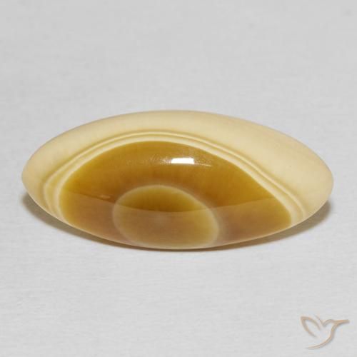 14.81ct 자연스러운 다색 마노, 보석, 불투명체