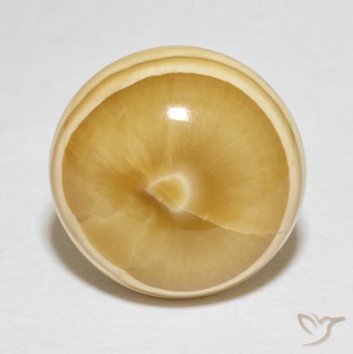 19.82ct 자연스러운 다색 마노, 둥근, 불투명체