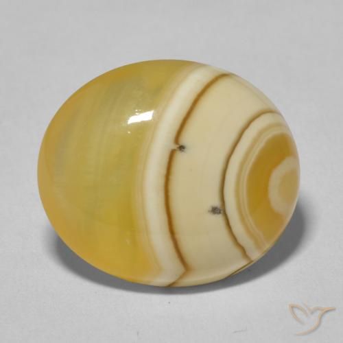 12.25ct 자연스러운 다색 마노, 타원형, 불투명체