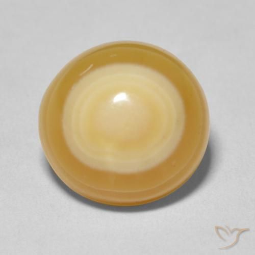 9.97ct 자연스러운 다색 마노, 타원형, 불투명체