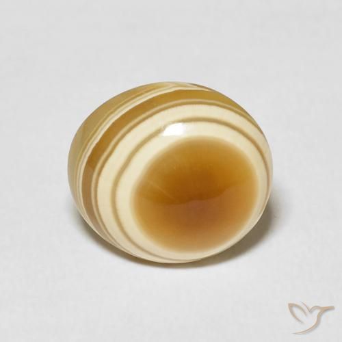 6.30ct 자연스러운 다색 마노, 타원형, 불투명체