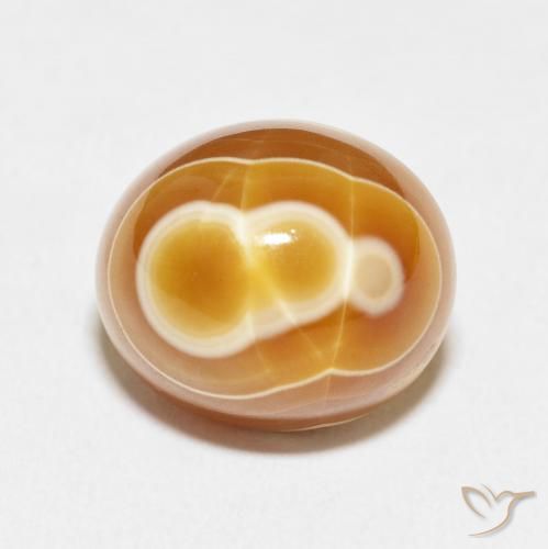 13.40ct 자연스러운 다색 마노, 타원형, 불투명체, Photo A