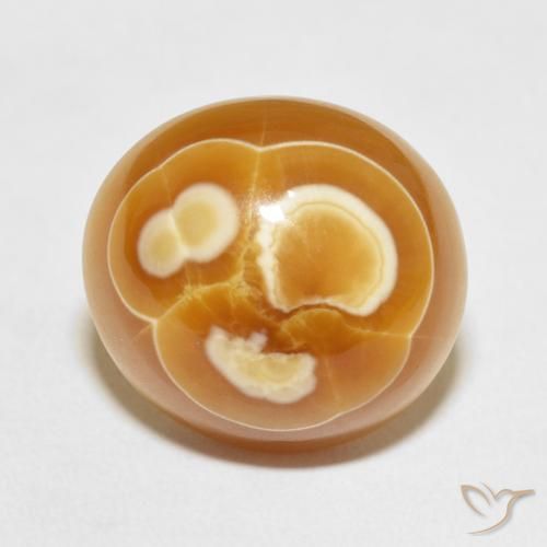 19.53ct 자연스러운 다색 마노, 타원형, 불투명체