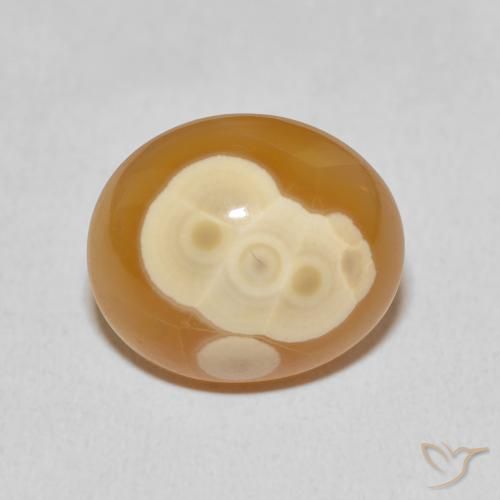 13.67ct 자연스러운 다색 마노, 타원형, 불투명체