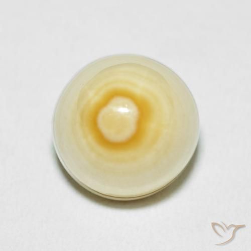 15.45ct 자연스러운 다색 마노, 팬시한, 불투명체