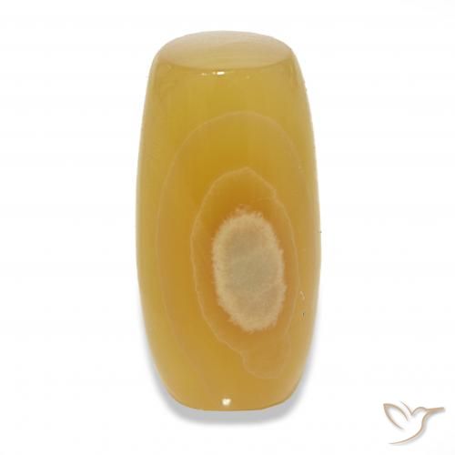 24.20캐럿 천연 다색 마노, 팬시한, 투명한