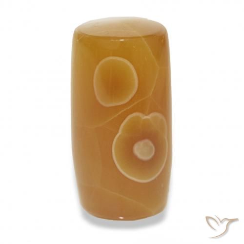 13.53ct 다색 마노, 팬시한, 투명한