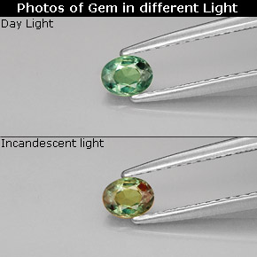 0.26캐럿 천연 그린/레드 알렉산드라이트, 타원형 컷, 4.4×3.4 mm, VVS-VS