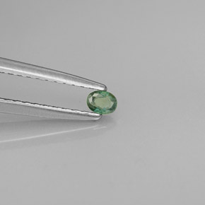 0.08캐럿 천연 그린/레드 알렉산드라이트, 타원형 컷, 2.9×2.2 mm, VS