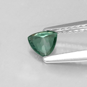 0.24캐럿 천연 그린/레드 알렉산드라이트, 트릴리언, 4.1×4.1 mm, VS