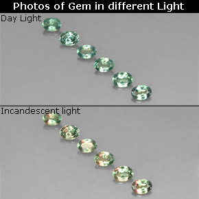 캐럿 천연 녹색/빨간색 알렉산더 보석 보석, 타원형 컷, VS