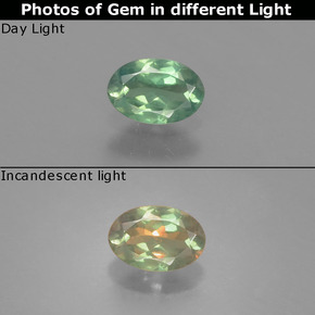 0.46캐럿 천연 녹색/빨간색 알렉산더 보석, 타원형 컷, VS