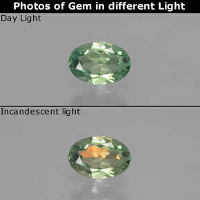 0.48캐럿 천연 그린/레드 알렉산드라이트, 타원형 컷, 6×4.1 mm, VS