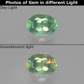0.98캐럿 천연 그린/레드 알렉산드라이트, 타원형 컷, 7.1×5.1 mm, VS