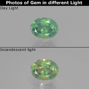 0.51캐럿 천연 녹색/빨간색 알렉산더 보석, 타원형 컷, VS