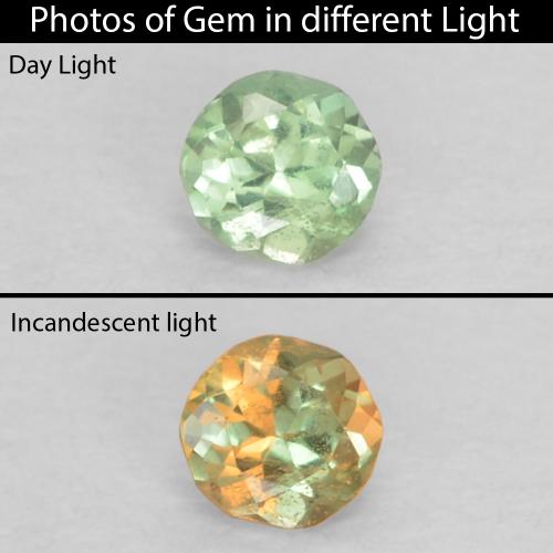 0.06캐럿 천연 밝은 노란색 녹색 알렉산드라이트, 라운드 컷, 2.26 mm, VS