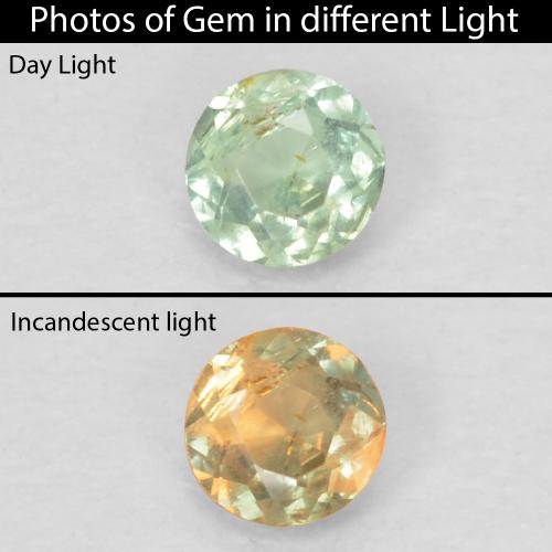 0.09캐럿 천연 밝은 노란색 녹색 알렉산드라이트, 라운드 컷, 2.64 mm, VVS-VS