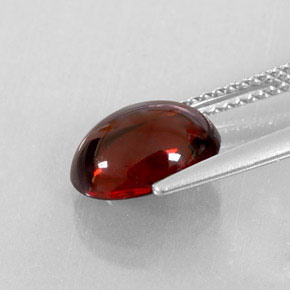 3.38캐럿 천연 딥 레드 알만딘 가넷, 투명한, 9.9×7.7 mm, 투명/반투명