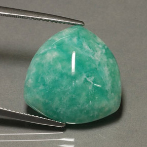 14.87캐럿 천연 그린 아마조나이트, 트릴리언, 19.7×19.3 mm, 불투명체